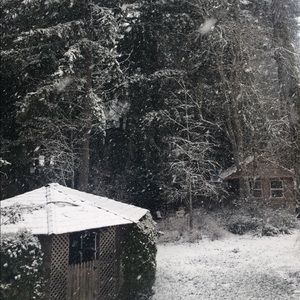 Meet your Posher, Rachael